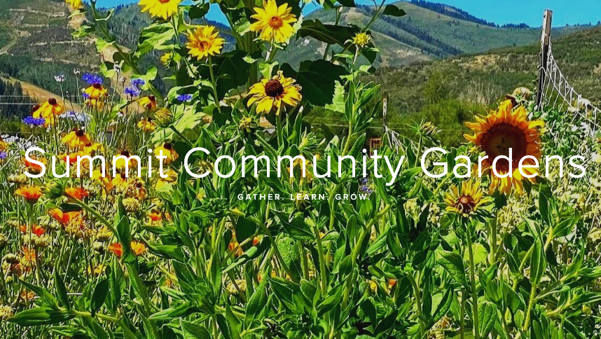 Summit Community Gardens Community Nights
