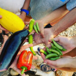 Buds and Blooms: Garden Flags