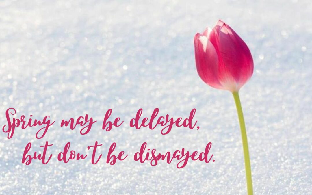 April B21 Crossings Newsletter