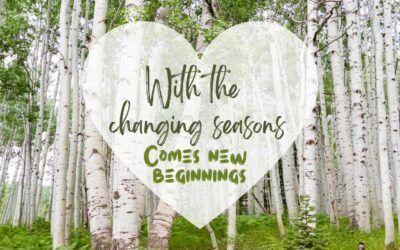 May B21 Crossings Newsletter