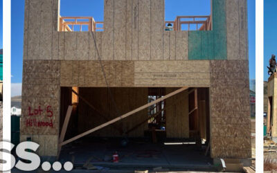 Fall B21 Crossings Newsletter