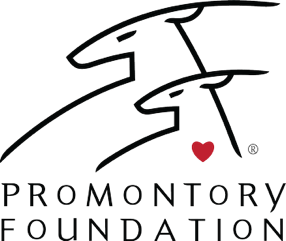 Promontory Foundation_logo_black